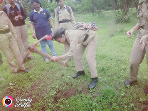 TREE-PLANTATION