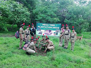 TREE-PLANTATION