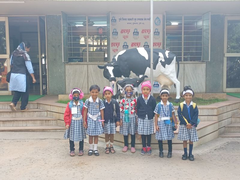 Katraj Dairy Katraj Dairy