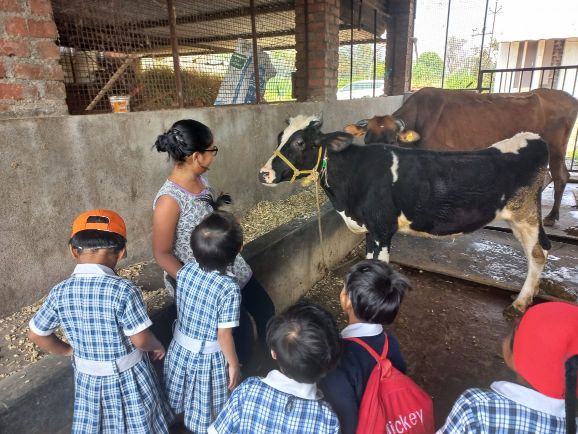 Purandare-farm Purandare-farm