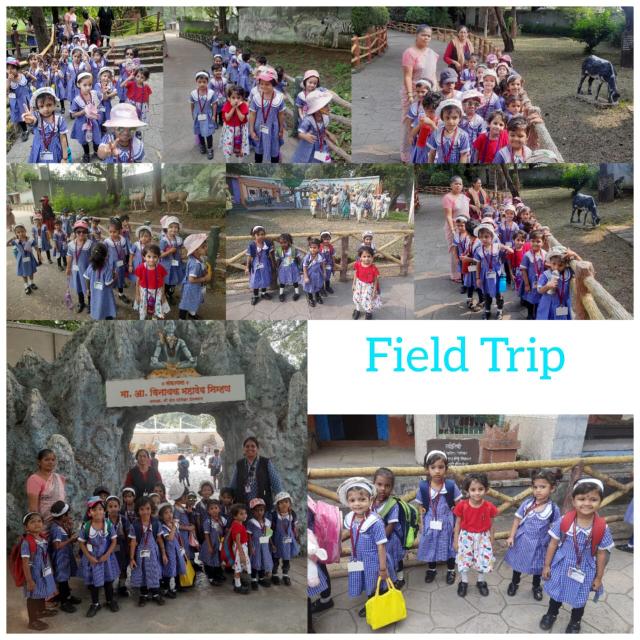 Field Trip Field Trip