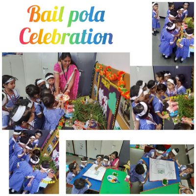 Bail Pola Bail Pola