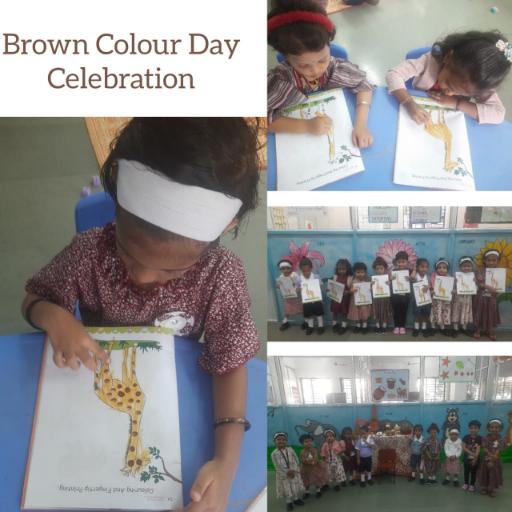 Brown Colour Day Brown Colour Day