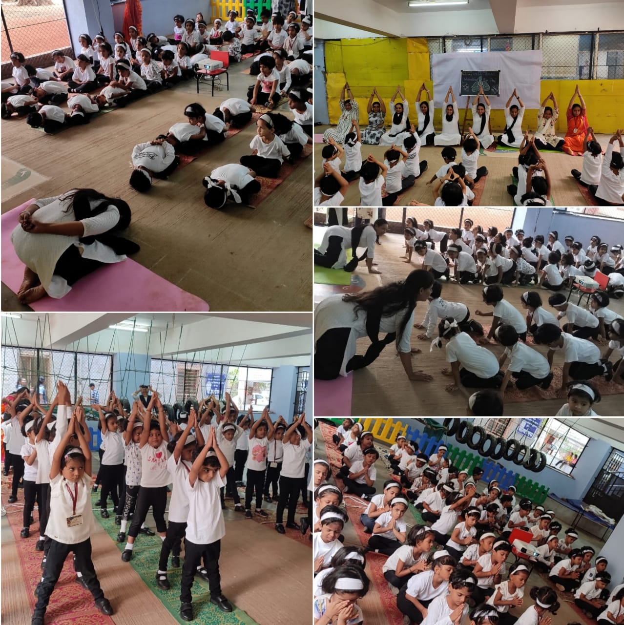 Yoga Day 2023 Yoga Day 2023