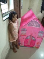 Pink Color Day and Circle Shape Day Pink Color Day and Circle Shape Day